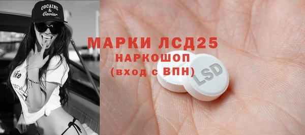 spice Арсеньев