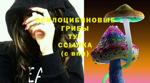 spice Арсеньев