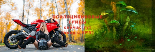 spice Арсеньев