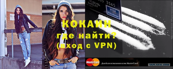 крисы Аркадак