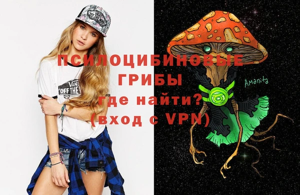 spice Арсеньев