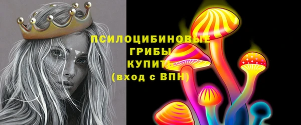 крисы Аркадак