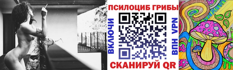 Псилоцибиновые грибы мицелий  Купить где  Кострома 
